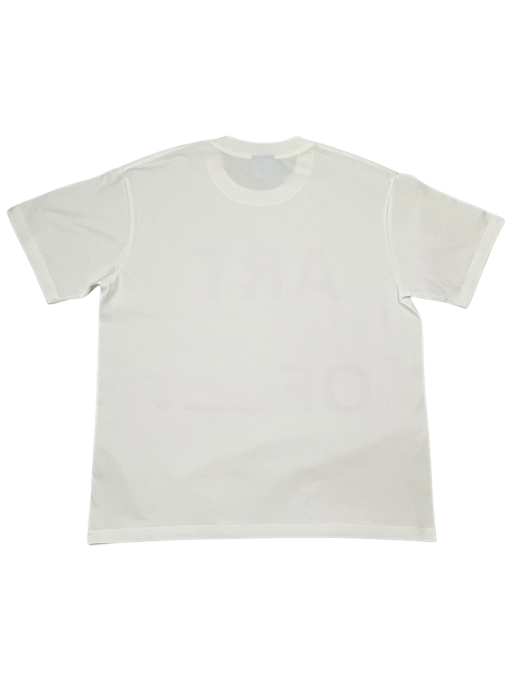ART OF _.  T-SHIRT